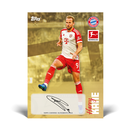 Topps Bundesliga International Stars 2023/24