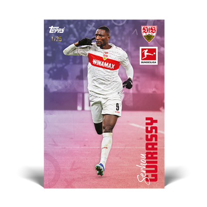 Topps Bundesliga International Stars 2023/24