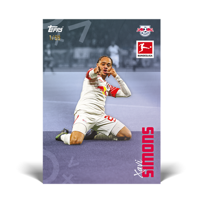Topps Bundesliga International Stars 2023/24