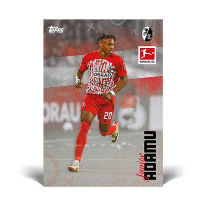 Topps Bundesliga International Stars 2023/24